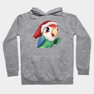 Cute Parrot Drawing Hoodie